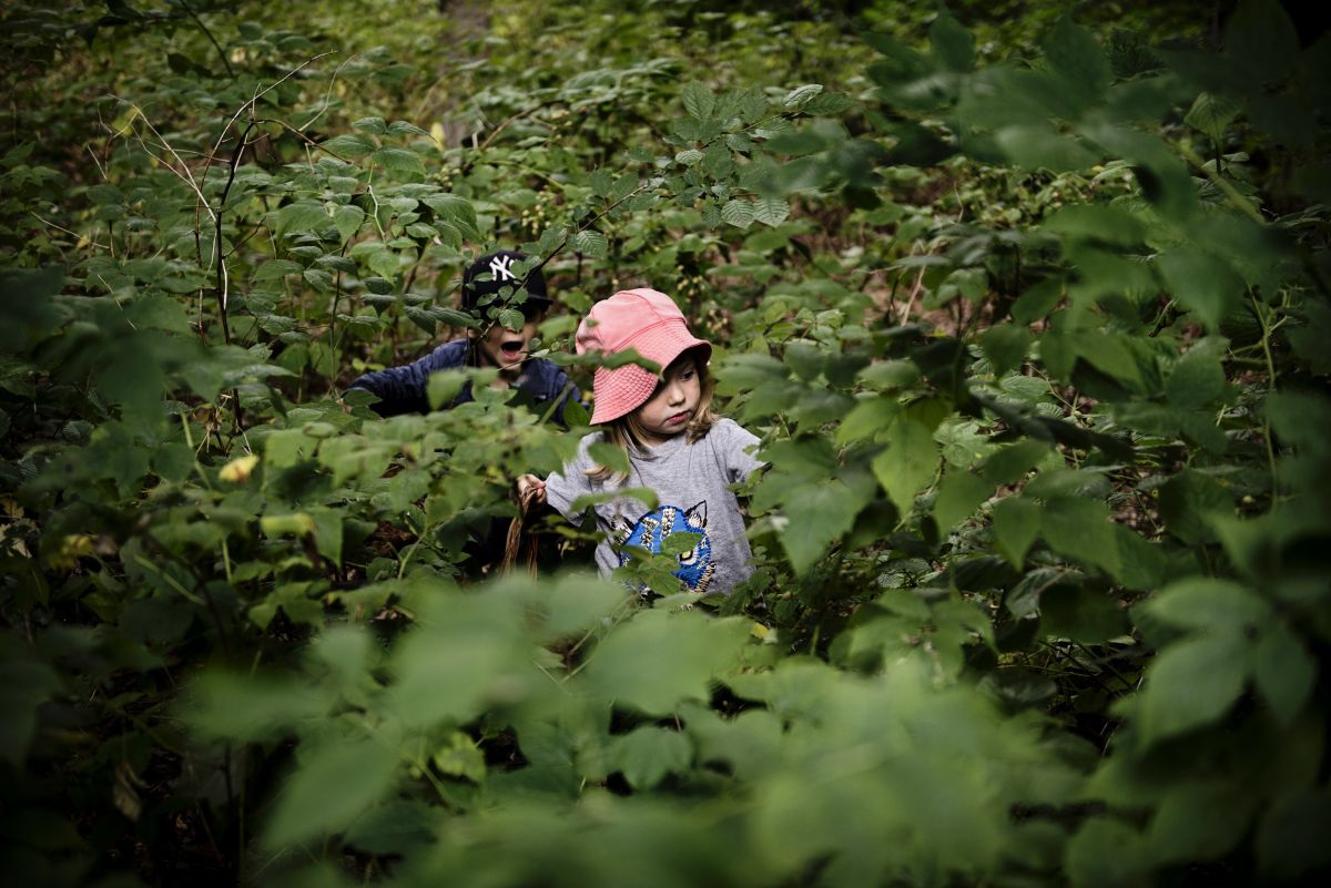 Kommunernes måder at beregne priser på dagtilbud er noget af en jungle. Hos Danske Daginstitutioners Landsorganisation mener man