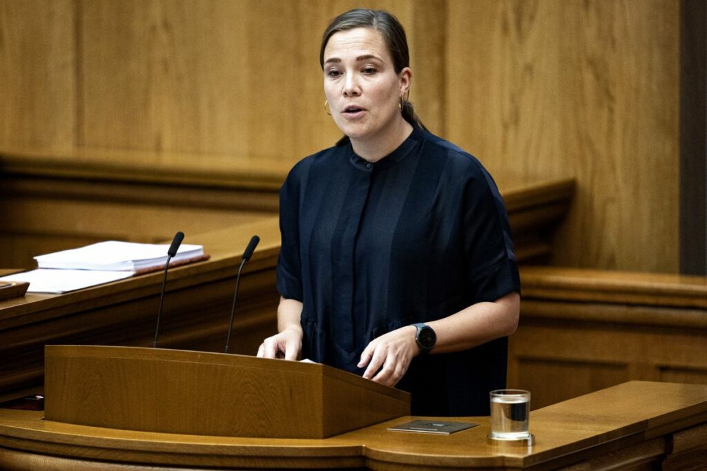 Socialminister Astrid Krag (S) har tidligere argumenteret for investering i sociale indsatser