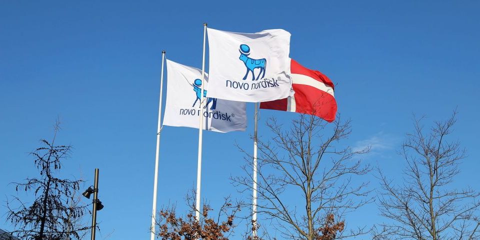 Hvad er grunden til at en privat fond som Novo Nordisk Fonden støtter en statslig ordning rent økonomisk?