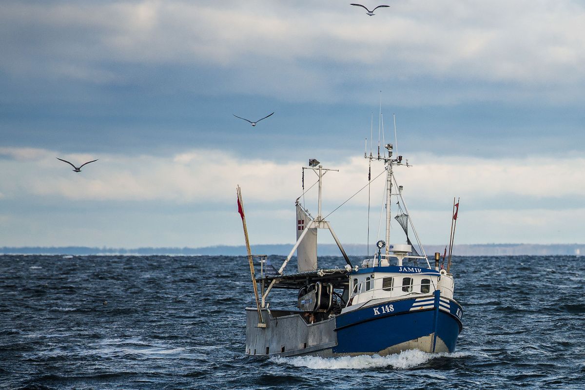 Det offentligt ejede interessentskab er gået sammen med den lokale virksomhed Fejø Krabber om udviklingen af en krabbebisque.