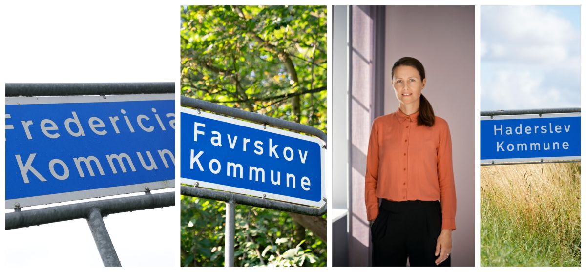 Programchef i Rockwool Fondens Interventionsenhed